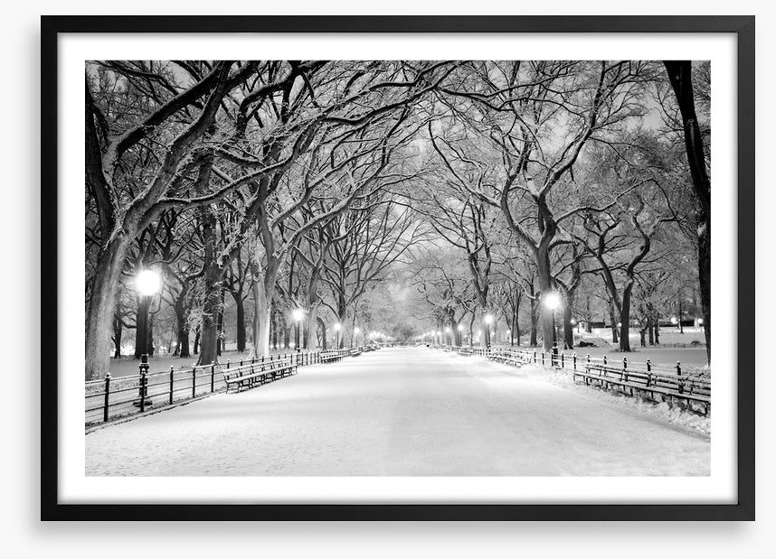 Snowy Central Park