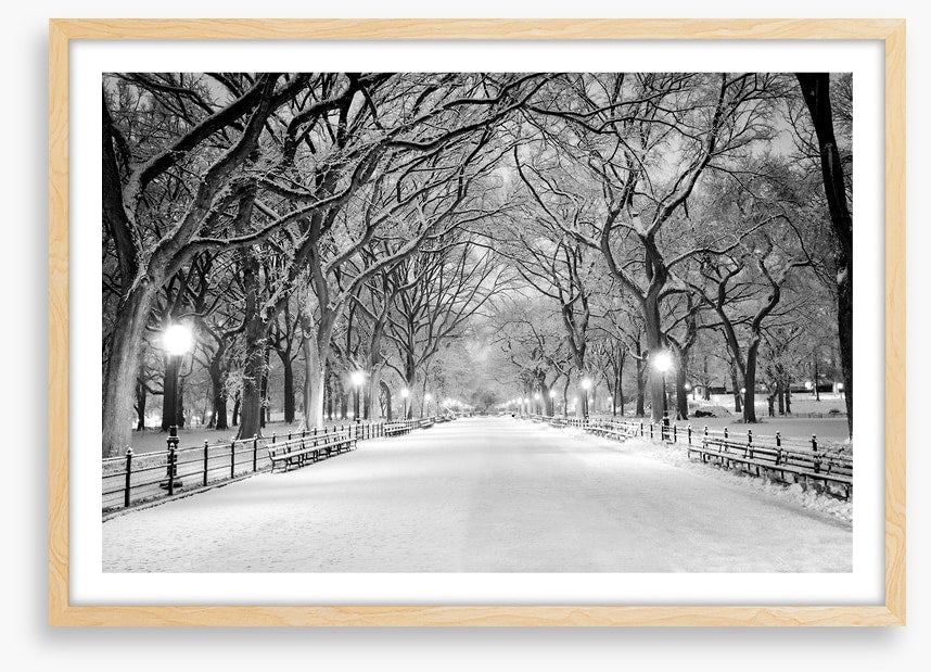 Snowy Central Park