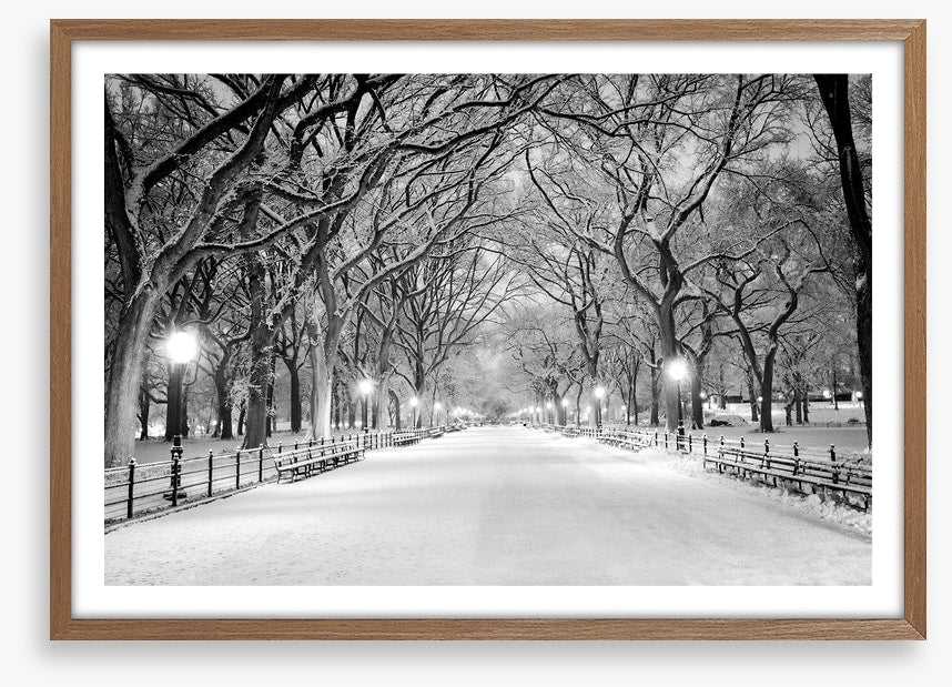 Snowy Central Park