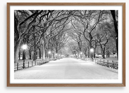 Snowy Central Park