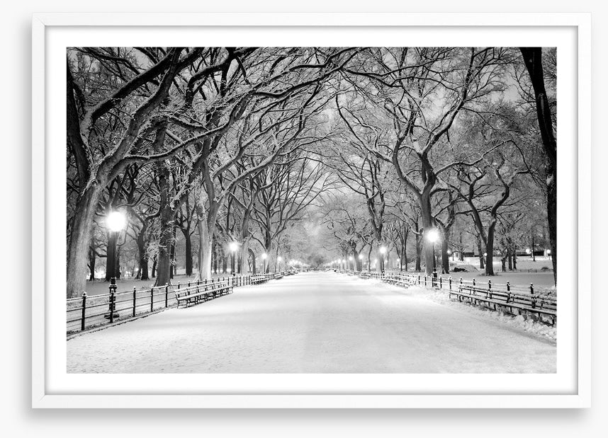 Snowy Central Park