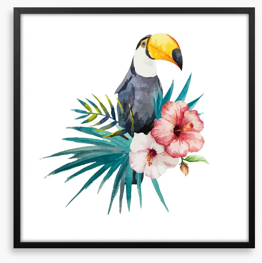 Toucan grove