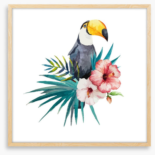 Toucan grove