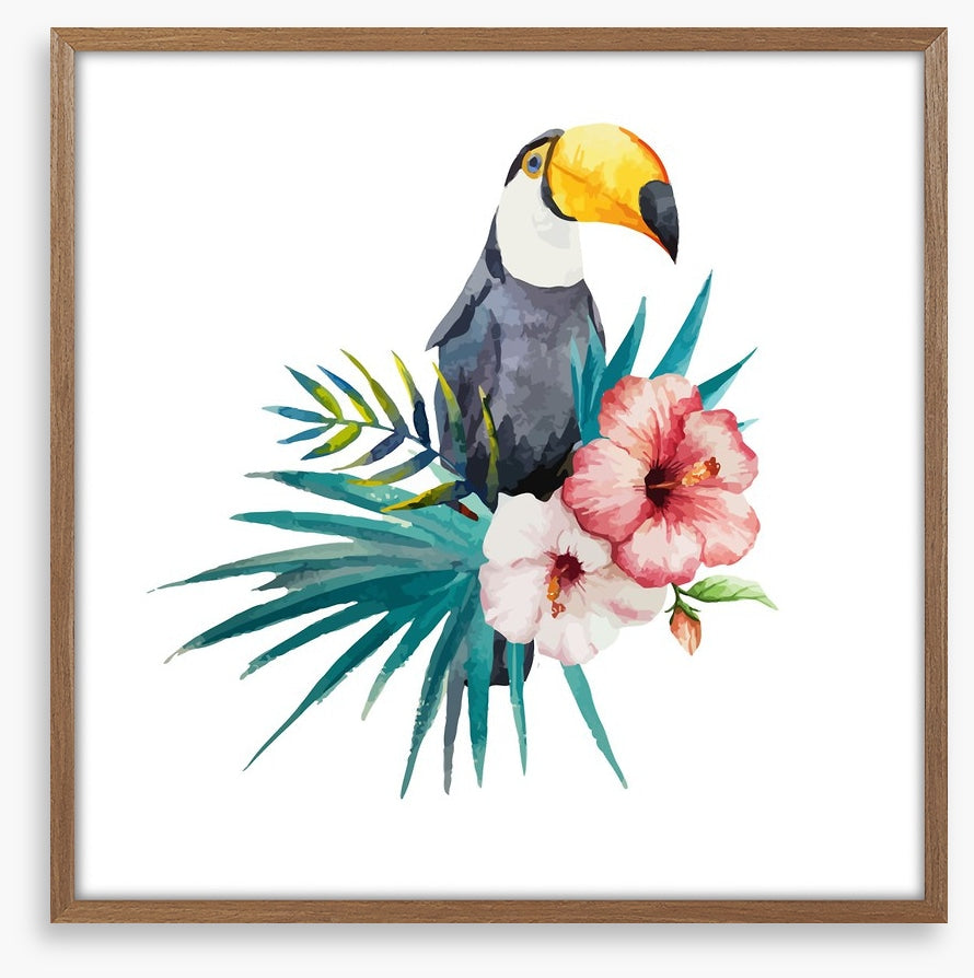 Toucan grove