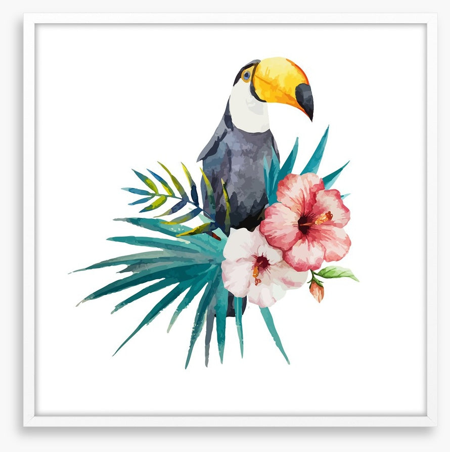 Toucan grove