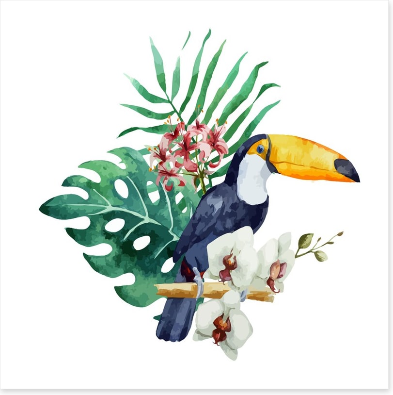 Toucan perch