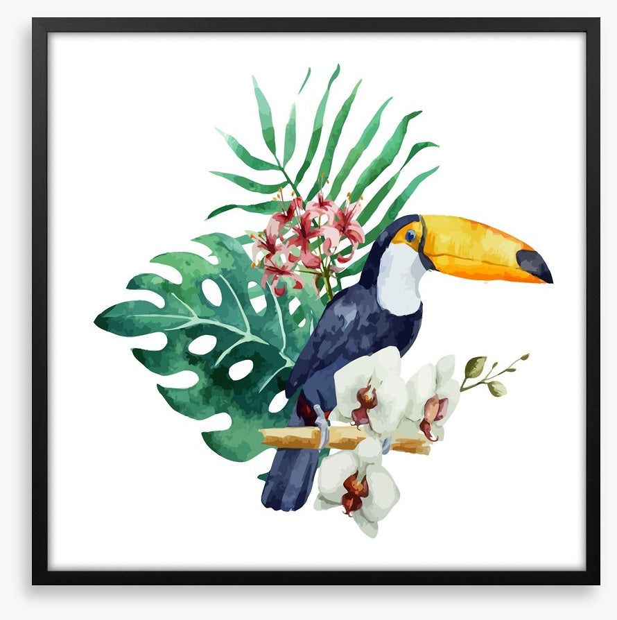 Toucan perch