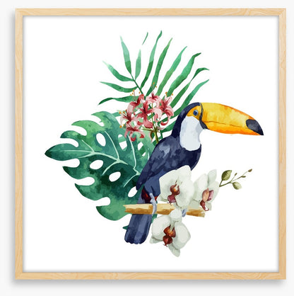 Toucan perch