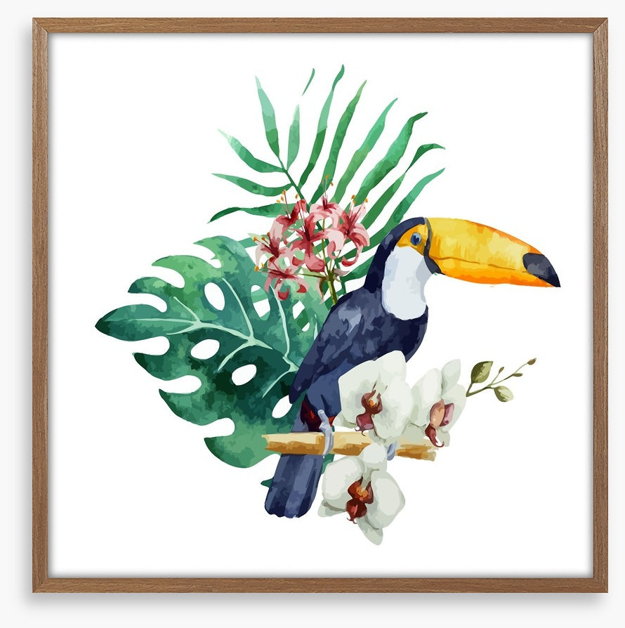 Toucan perch