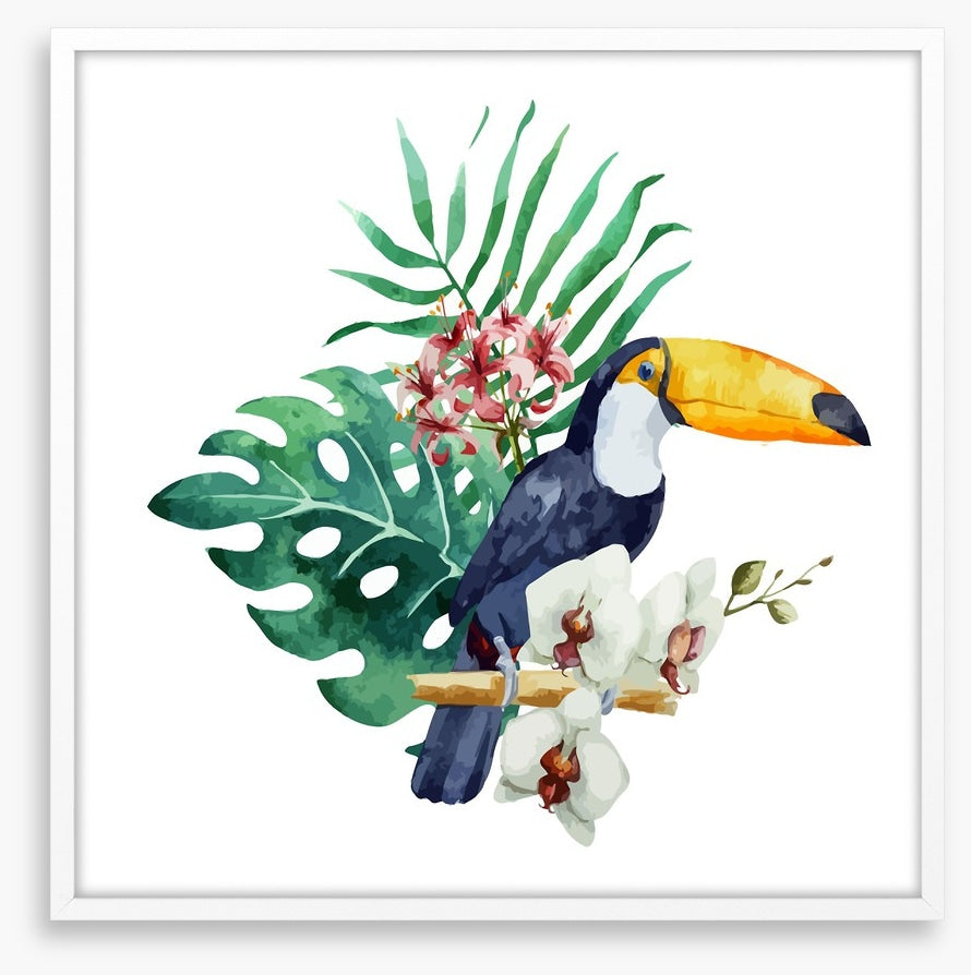 Toucan perch