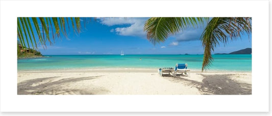 Palm frond beach panoramic