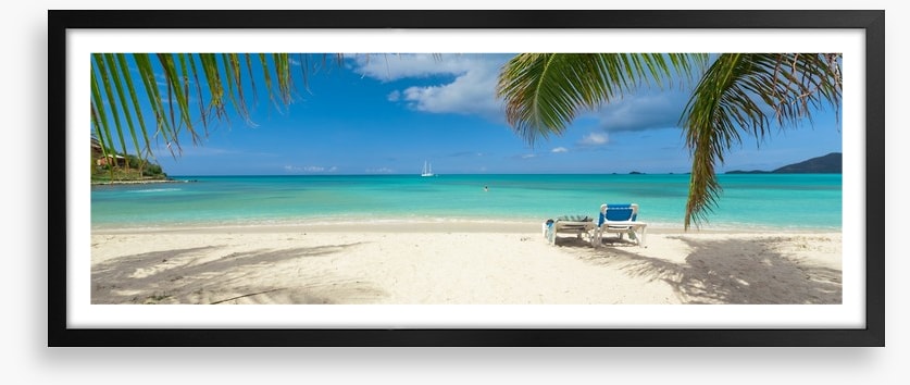 Palm frond beach panoramic