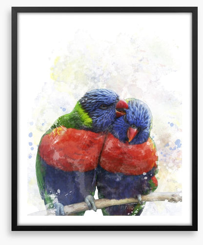 Rainbow lorikeet love