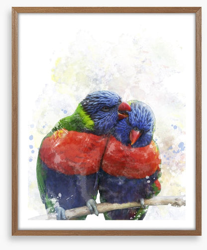 Rainbow lorikeet love