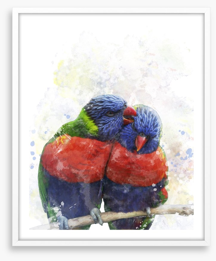 Rainbow lorikeet love