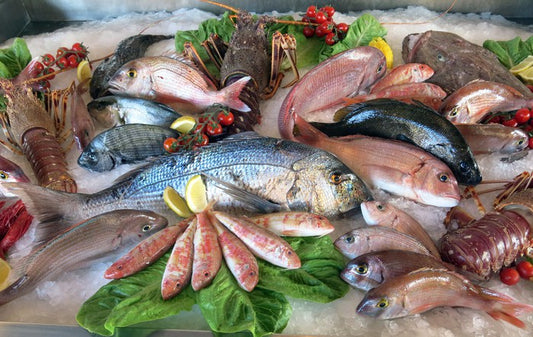 Catch of the day