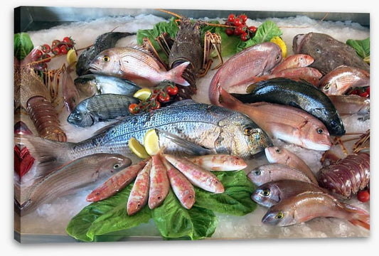 Catch of the day
