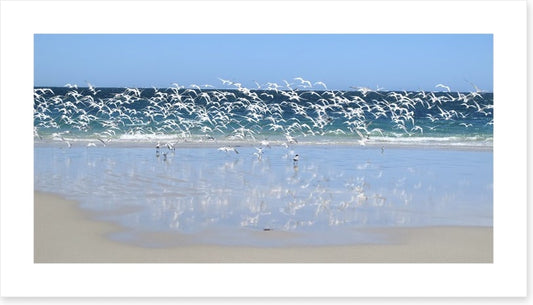 Coast at Coral Bay