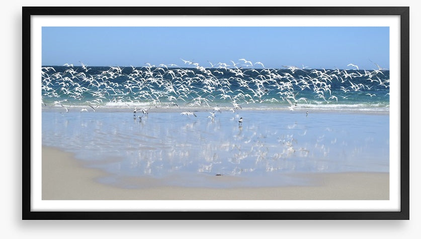 Coast at Coral Bay