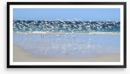 Coast at Coral Bay