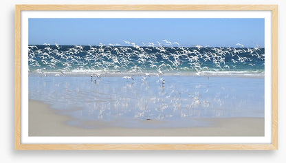 Coast at Coral Bay