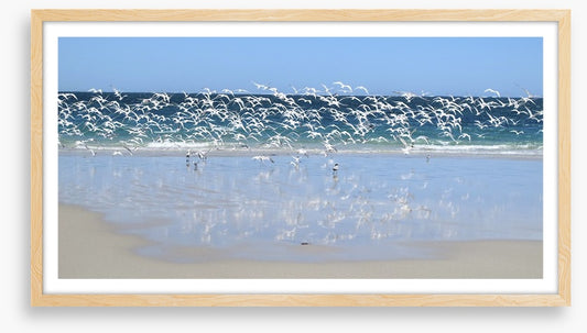 Coast at Coral Bay