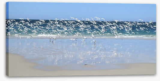 Coast at Coral Bay