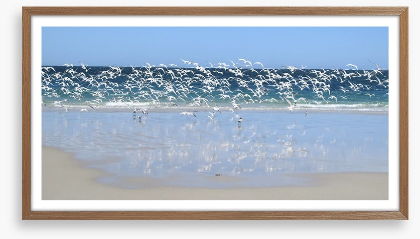 Coast at Coral Bay