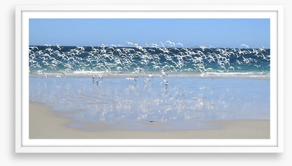 Coast at Coral Bay