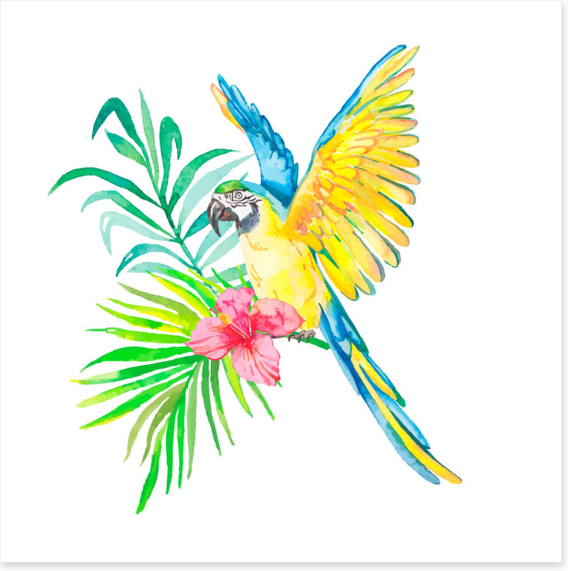 Birds