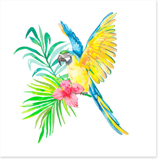 Birds