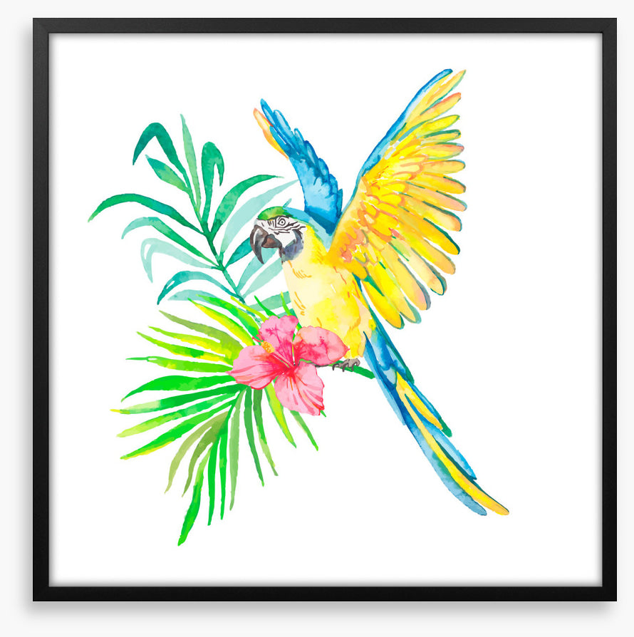 Birds