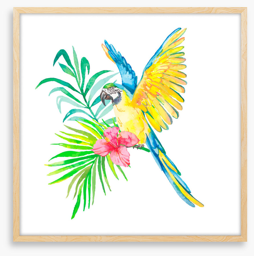 Birds