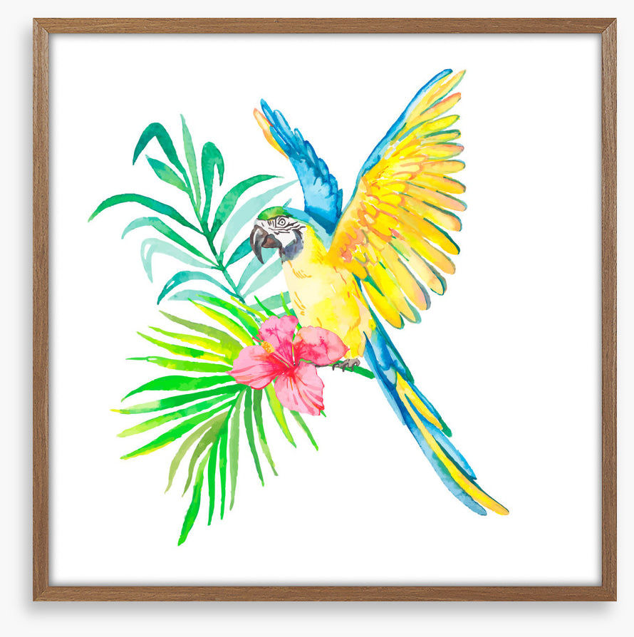 Birds
