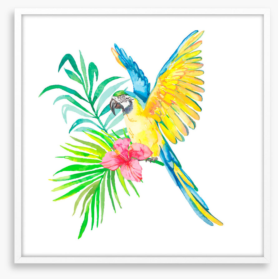 Birds