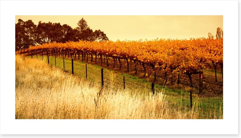 Adelaide