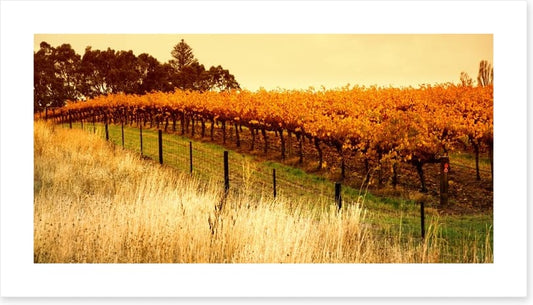 Adelaide