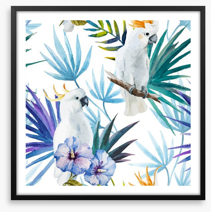 Tropical cockatoo