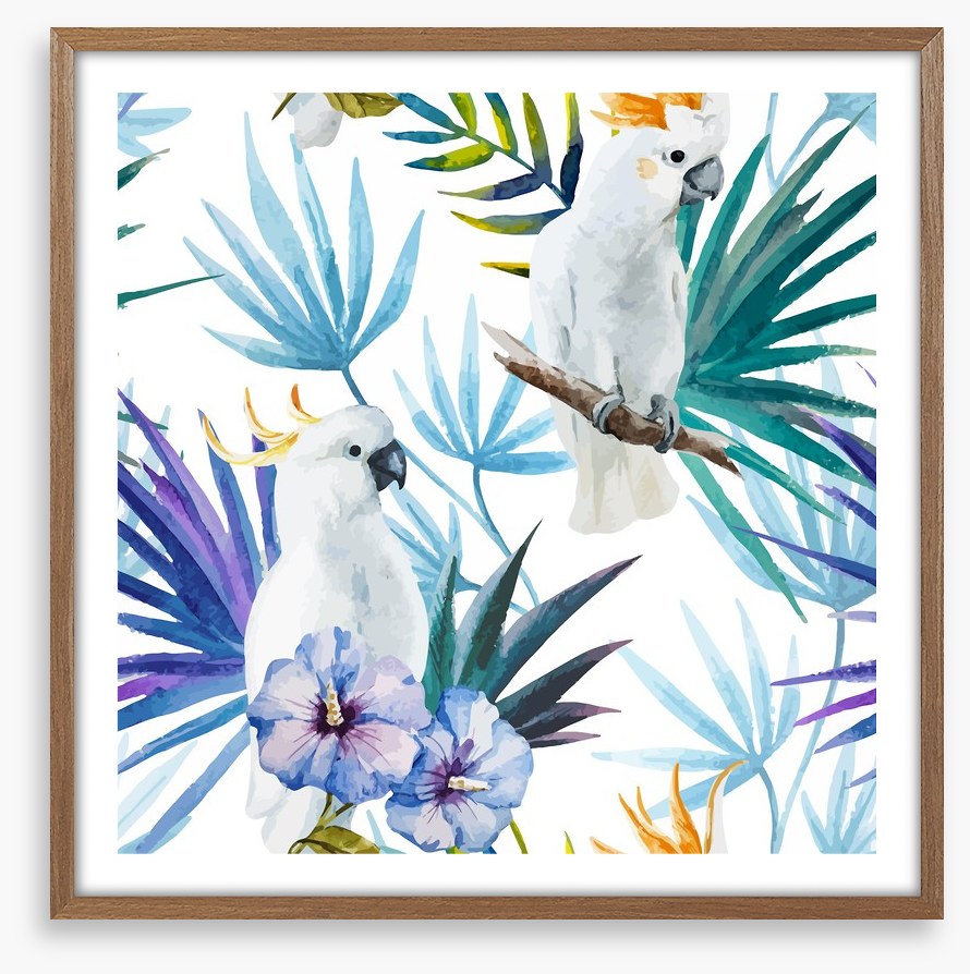 Tropical cockatoo