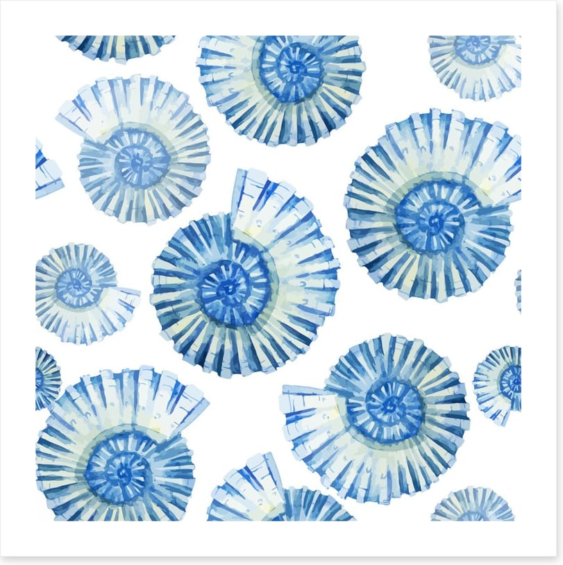 Nautical shells