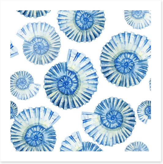 Nautical shells