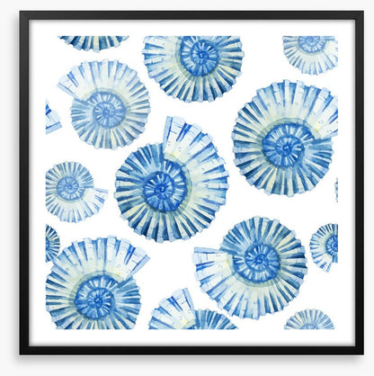 Nautical shells