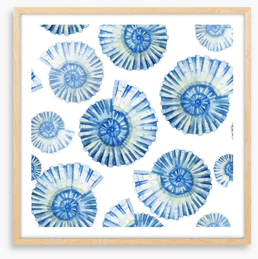 Nautical shells