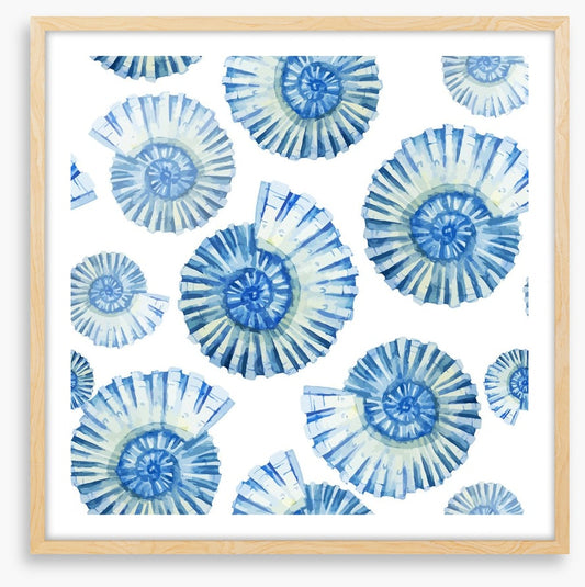 Nautical shells