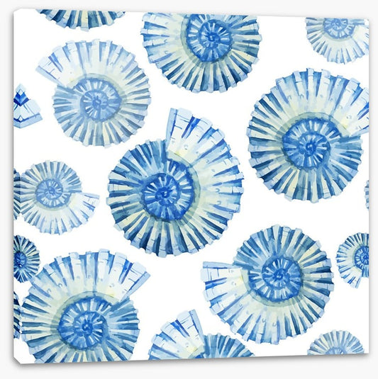 Nautical shells