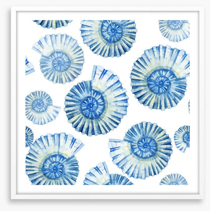 Nautical shells