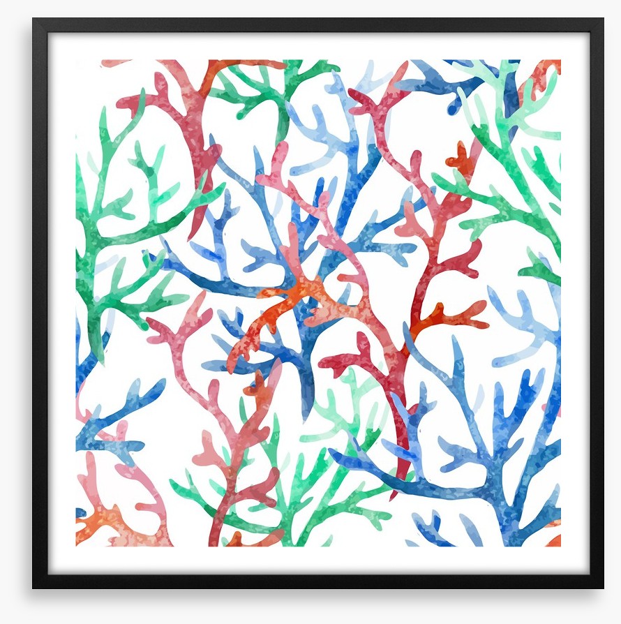 Coral colours