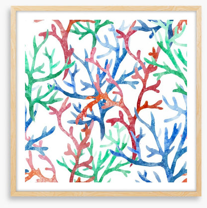 Coral colours