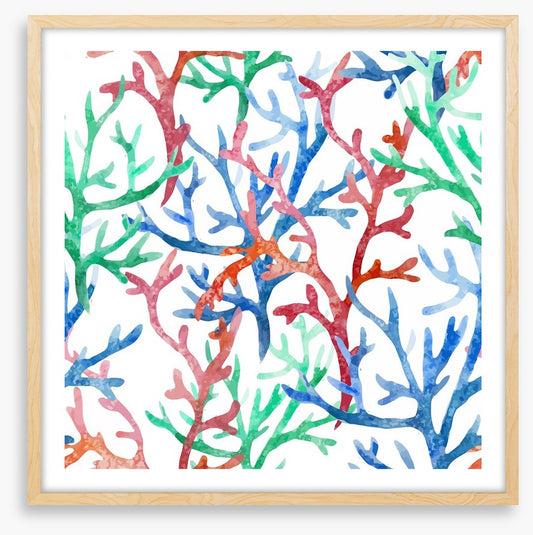 Coral colours