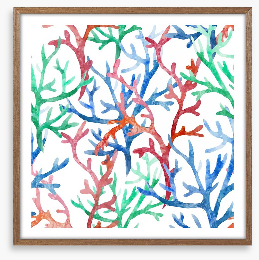 Coral colours